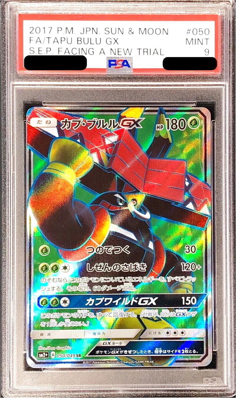 カプ・ブルルGX