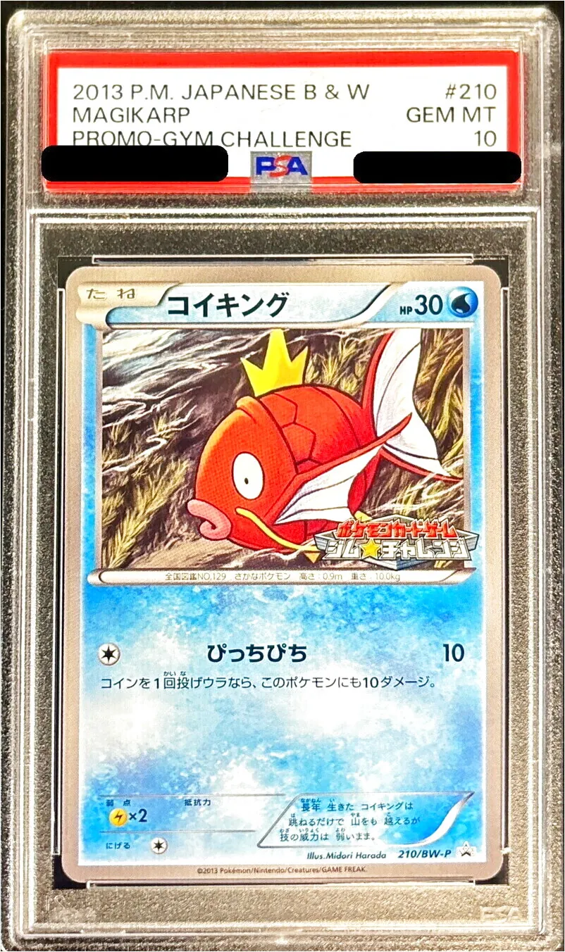 コイキング