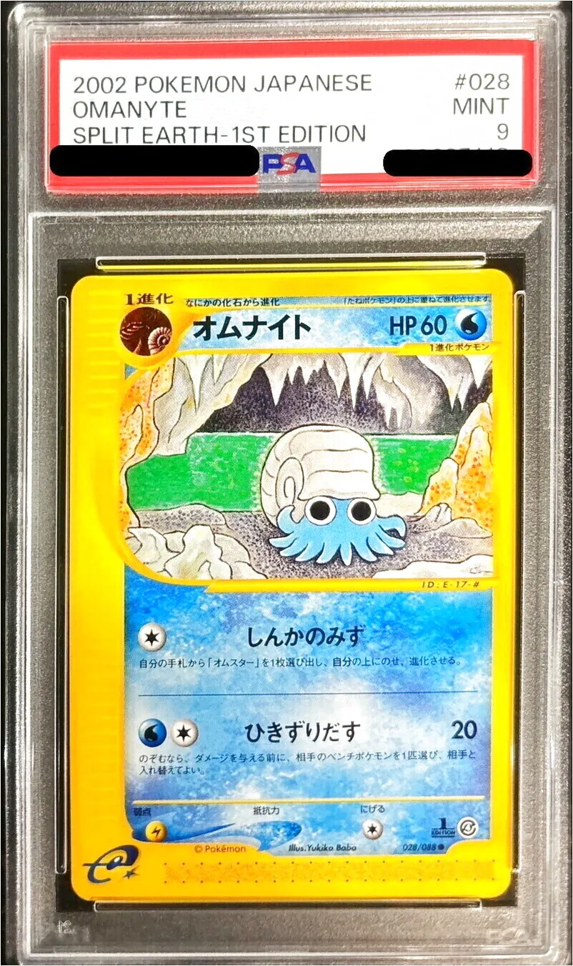 オムナイト