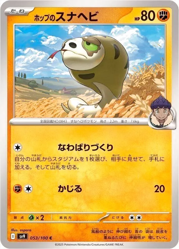 拡張パック「バトルパートナーズ」