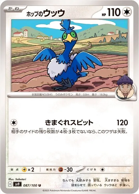 拡張パック「バトルパートナーズ」
