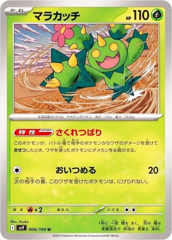 マラカッチ