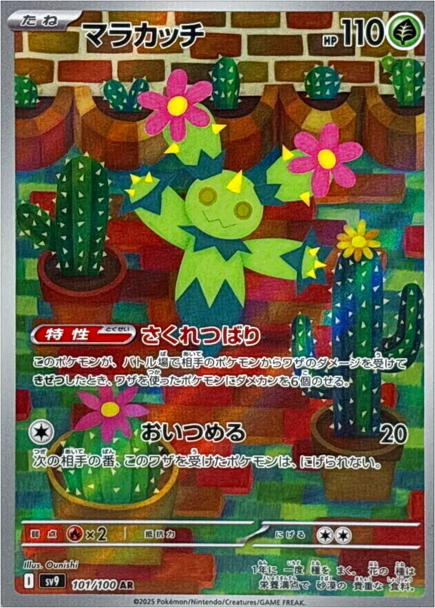 マラカッチ