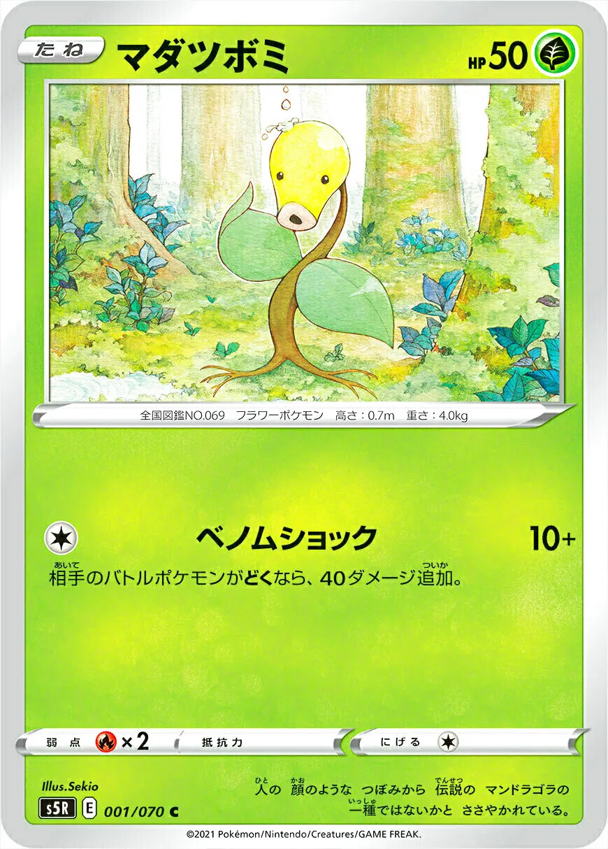 マダツボミ