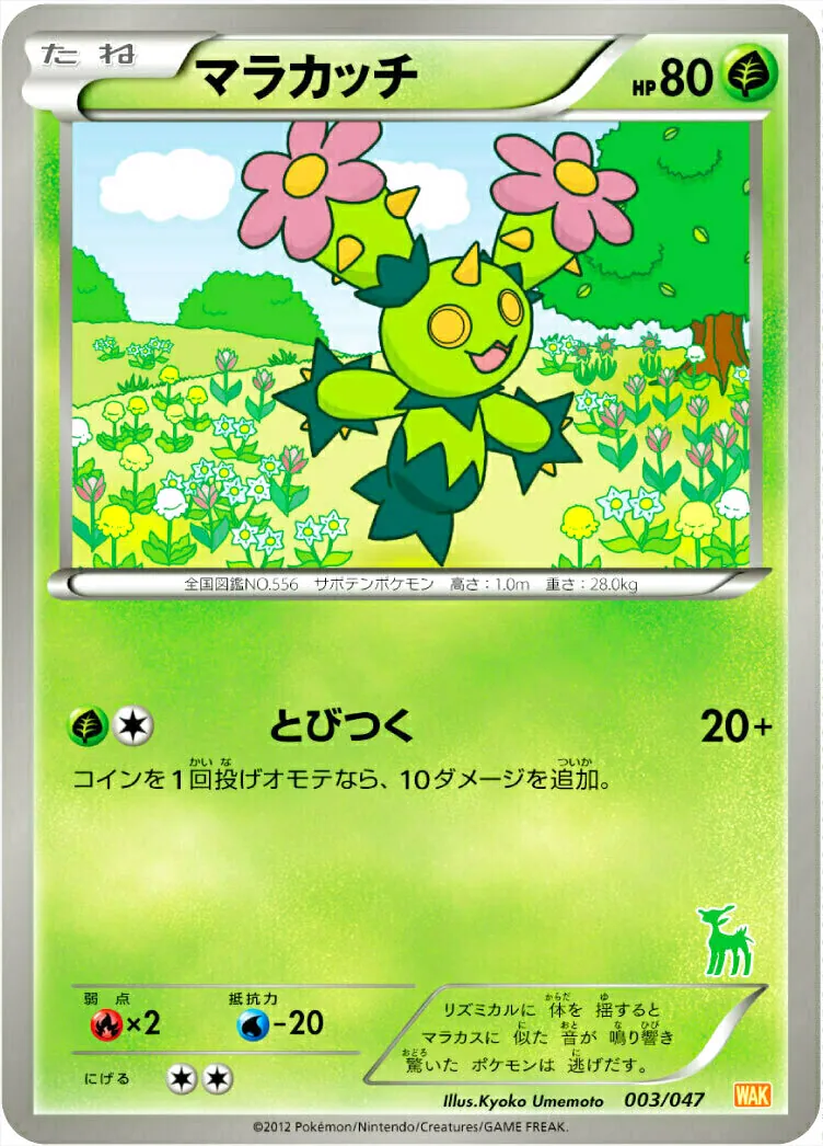 マラカッチ