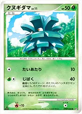 クヌギダマLV.11